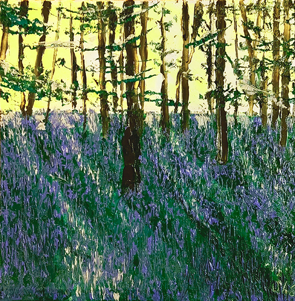 light streaming through trees in the woods with lavender flowers carpeting the ground